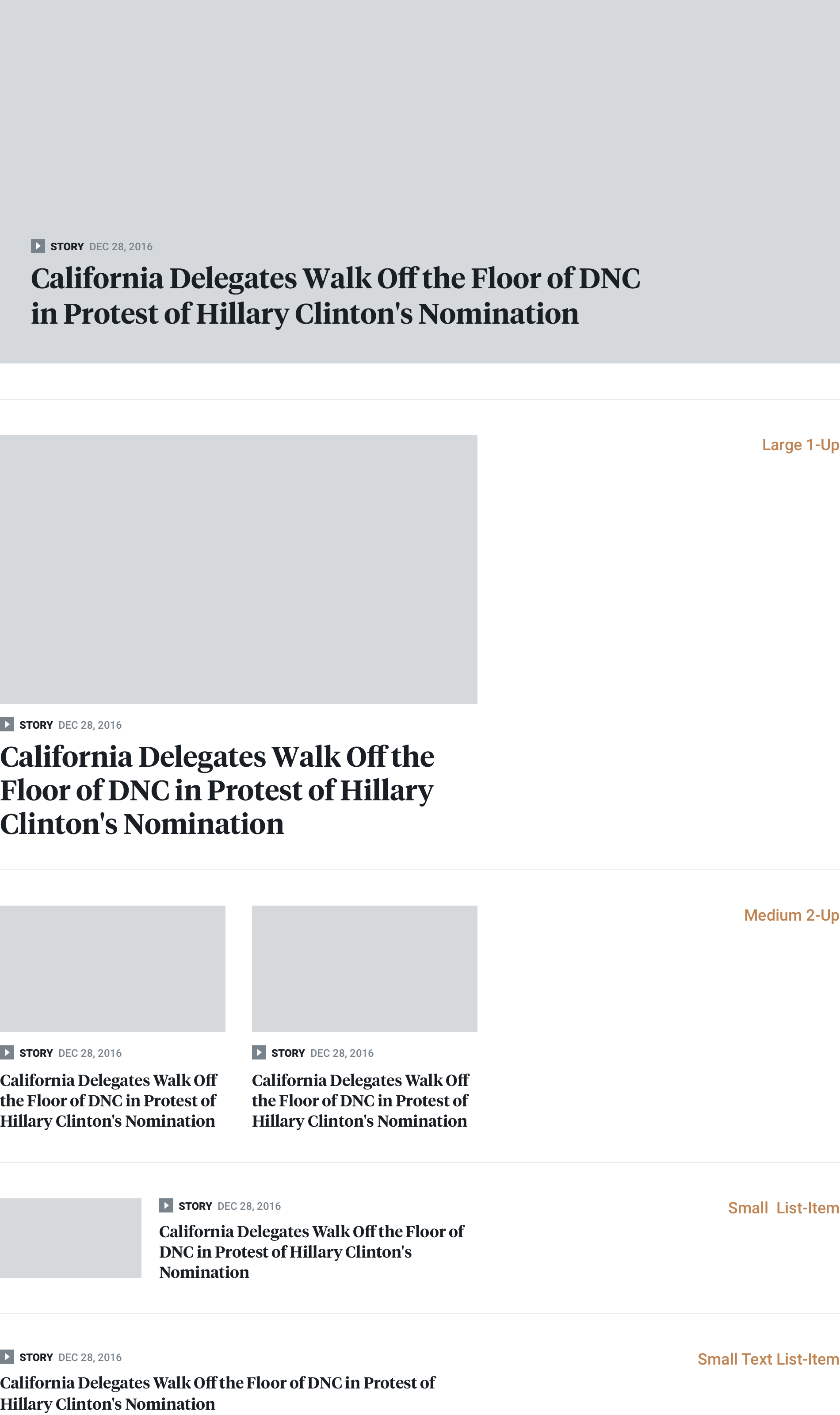 Democracy Now! Story Component Layouts